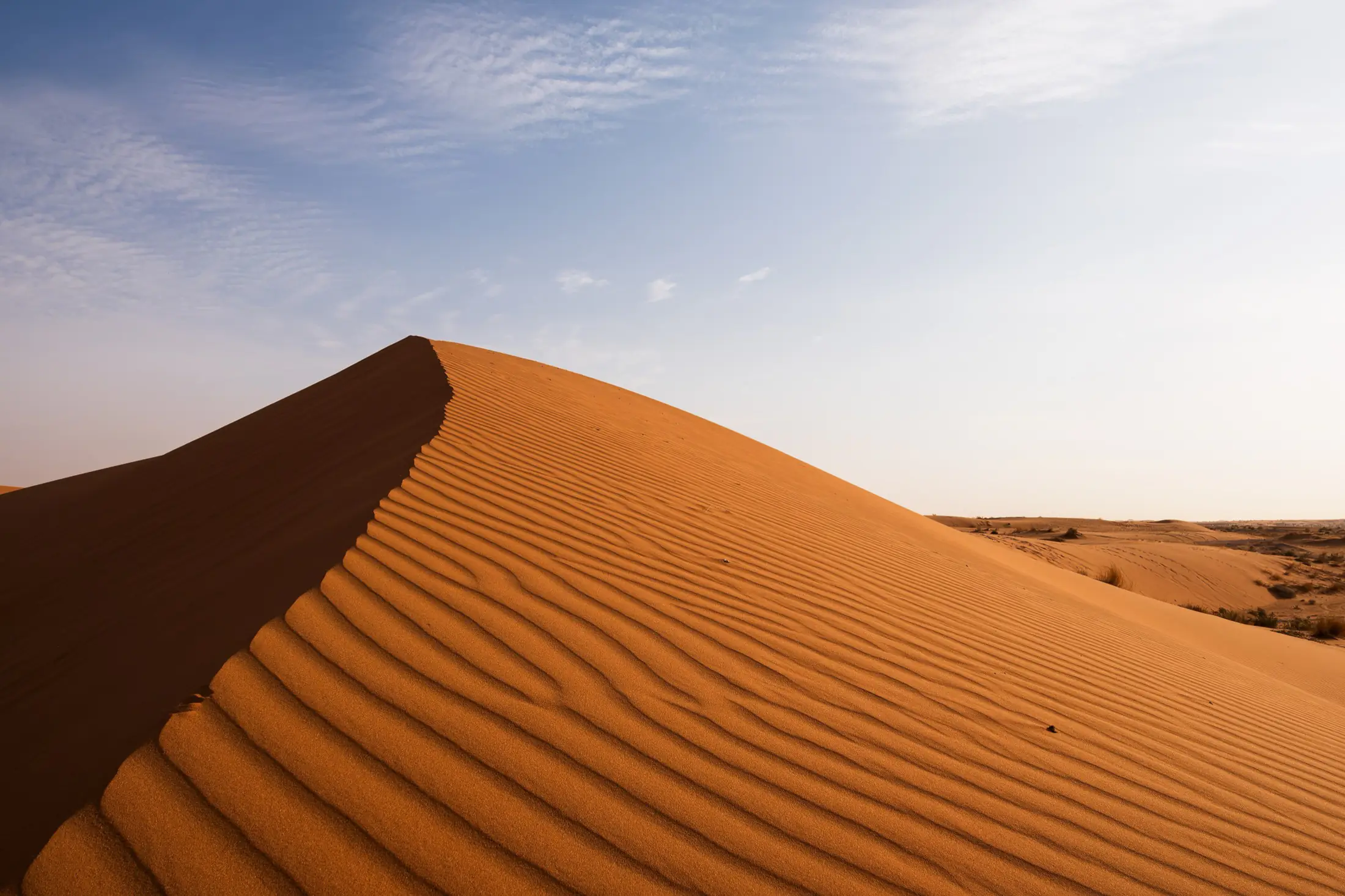 Wind-sculpted sand dune ridge in the Saudi Arabian desert